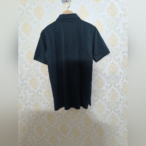 Champion - Picture 5 of 5